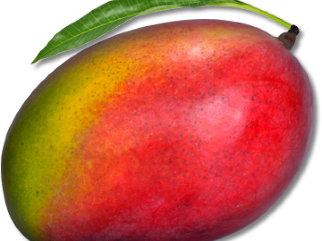 Mango Png Transparent Images (640x480), Png Download