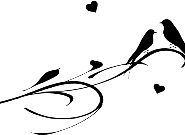 Clip Art (640x480), Png Download