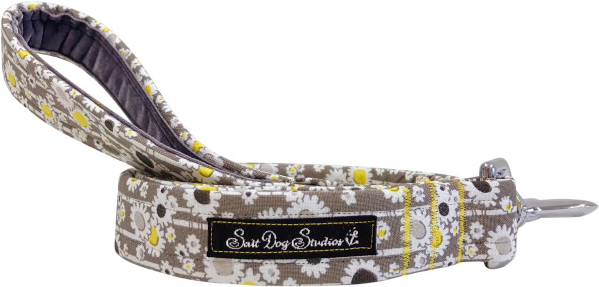 Daisy Chain Dog Lead - Jumping (1279x959), Png Download