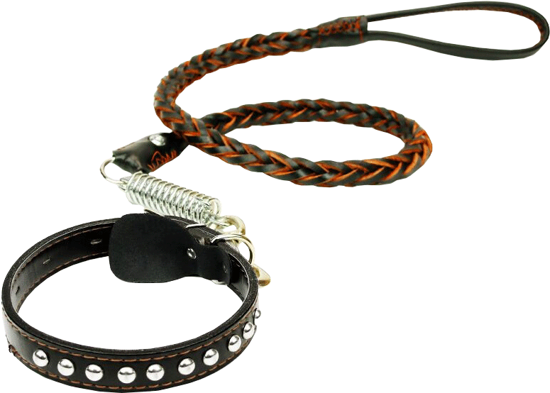 Love It Beautiful Dog Chain Dog Rope Pet Leash In The - Leash (800x800), Png Download