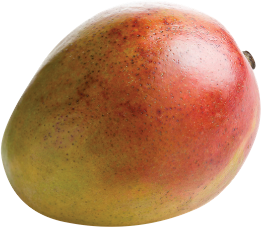 Mangoes - Mango (600x523), Png Download