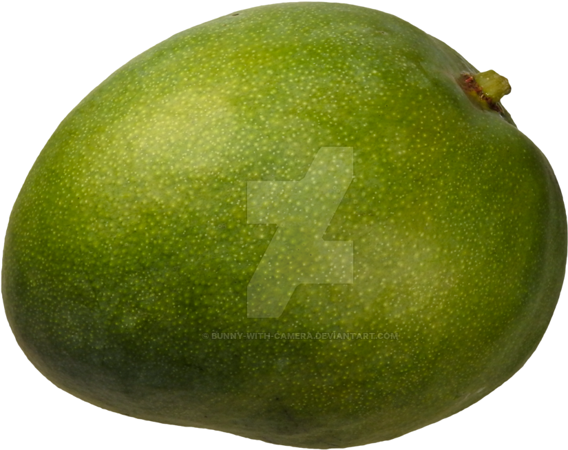 Green Mango Png Banner Freeuse Library - Portable Network Graphics (1024x768), Png Download