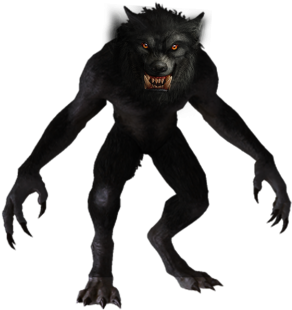 Dogmen, Human-canine Hybrids Similar, To Werewolf Descriptions - Weerwolf Png (500x359), Png Download