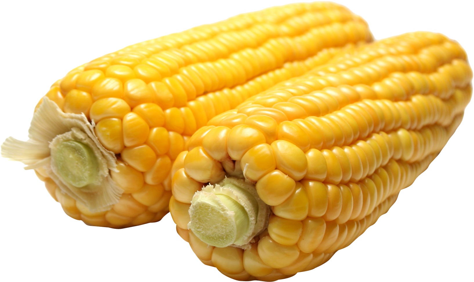 Corn Png (1793x1112), Png Download
