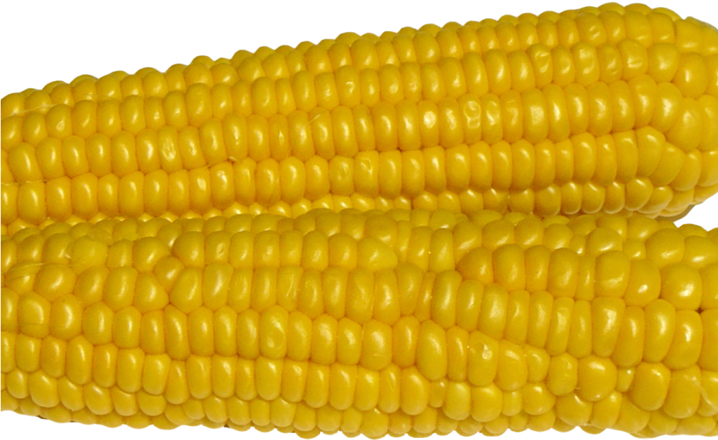 Corn Png Image - Maize (1024x768), Png Download