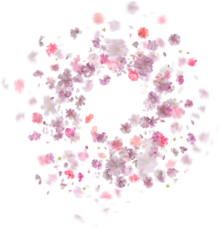 Kingdom Of Editor S Editing Floating Flowers Png - Jennifer Young Beauty Despite Cancer Defiant Beauty (1000x1600), Png Download