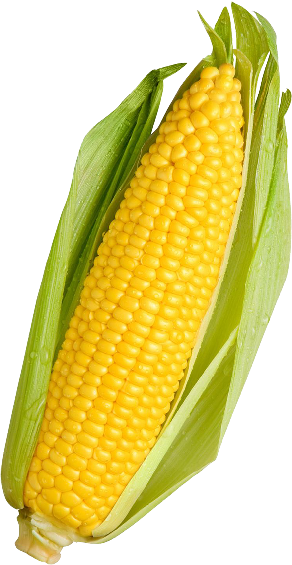 Corn - Vegetables Corn (787x1187), Png Download