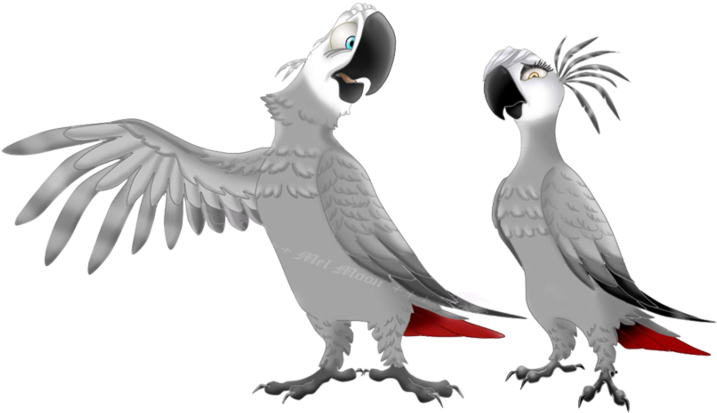 African Grey Parrots By Melhellmoon On Deviantart - African Gray Parrot Drawing (800x600), Png Download