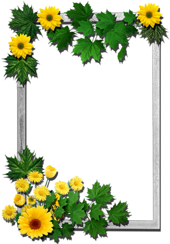 Written By Dreamland In Frames Rectangular-flowers - Yellow Flower Frame Png (353x500), Png Download