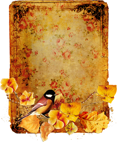 [51%255b3%255d ] - Clip Art (398x480), Png Download