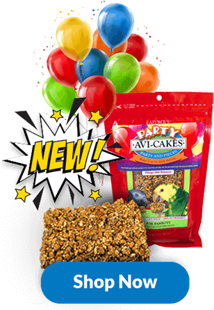 Diet & Nutrition - Breakfast Cereal (337x470), Png Download