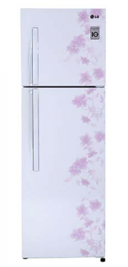 2 Doors Fridge Gnb302rpnl - Refrigerator (920x920), Png Download