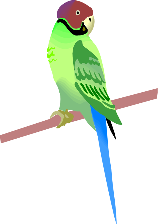 Free Parrot And Macaw Clipart - Clip Art (534x750), Png Download