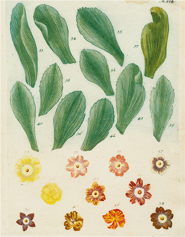 028 770ccd65 Bd2c 4a84 A67d 504e82f7c034 V=1527800778 - John Derian Picture Book (800x800), Png Download