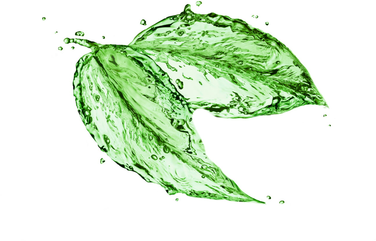 What Are Your Alternatives To The Dangerous Dry Cleaning - Leaves Made Of Water (1600x1200), Png Download