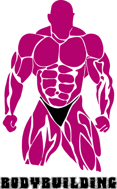 Bodybuilding Physical Fitness Fitness Centre Can Stock - Gym Bodybuilder Clipart (467x750), Png Download