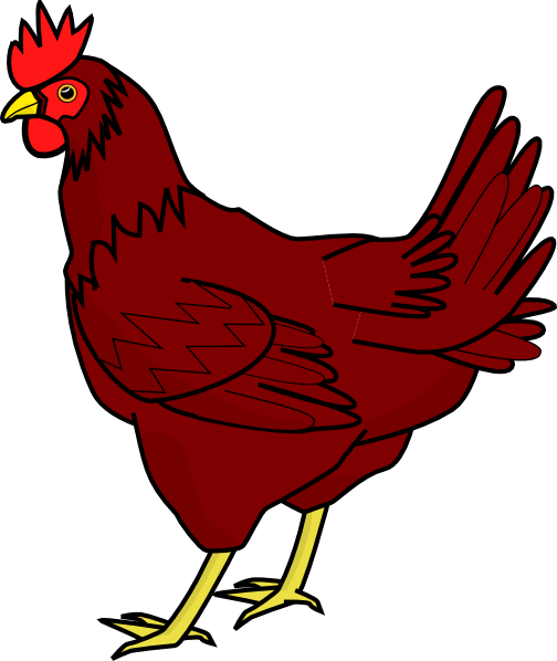Little Red Hen Clipart - Chicken Clipart (504x598), Png Download