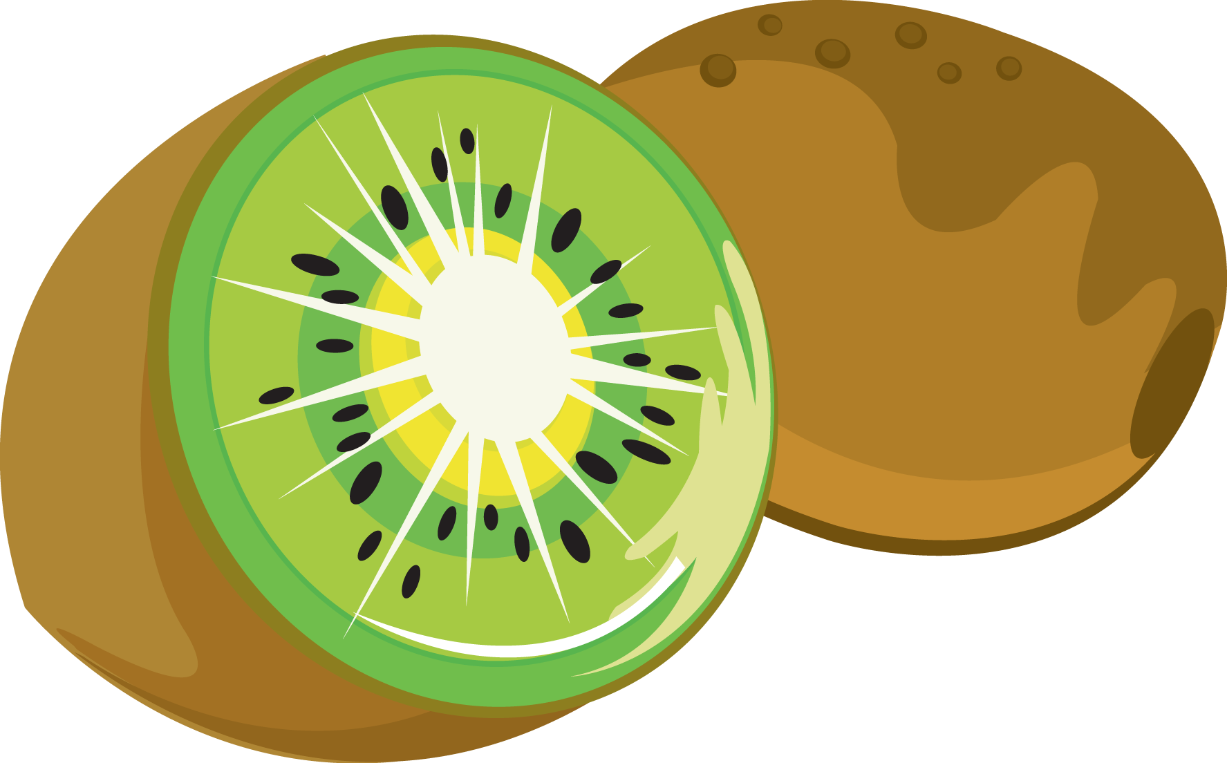 Kiwi Clip Art Clipartbarn Clipart Png - Kiwi Clipart Transparent (1775x1104), Png Download