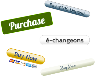 Paypal Pay Now Button Png Download - Paypal (450x400), Png Download