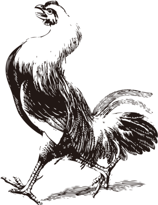 Illustration (326x424), Png Download
