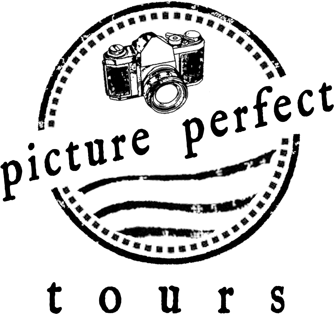 Picture Perfect Tours Logo With Camera - Camera (1200x1200), Png Download