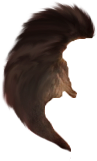 Hair Png - Eagle (707x668), Png Download