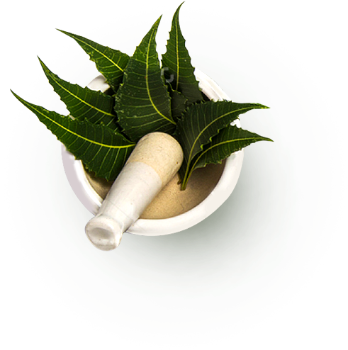 Sreedhareeyamredefining Ayurveda - Ayurveda Herbs Png (490x504), Png Download