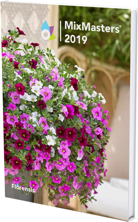 Catalogue View Catalogue - Petunia (750x1000), Png Download