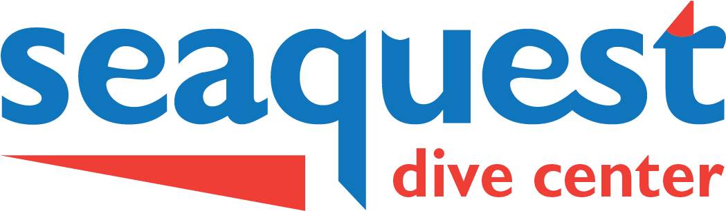 January 17, 2018 Ben Meerhaeghe Leave A Comment - Ecco (1500x1500), Png Download