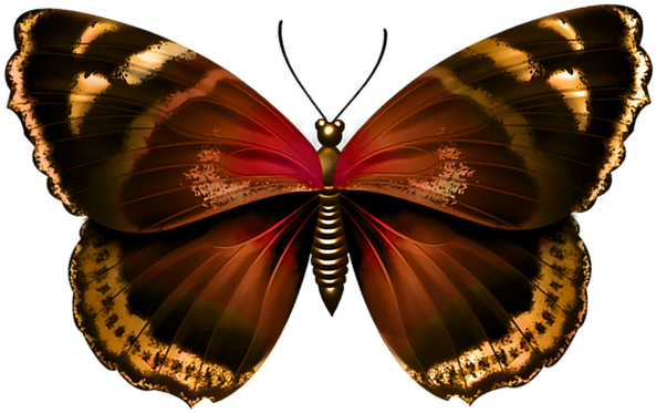 Butterfly Transparent Png Image - Blue Butterfly Transparent (600x396), Png Download