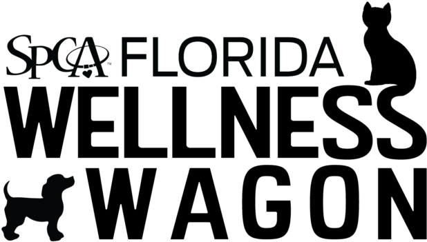 The Wellness Wagon Brings Convenient And Affordable - Spca Florida (650x359), Png Download