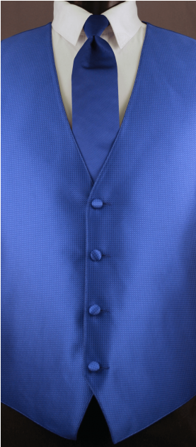 48rblu 3-446x629 (446x629), Png Download