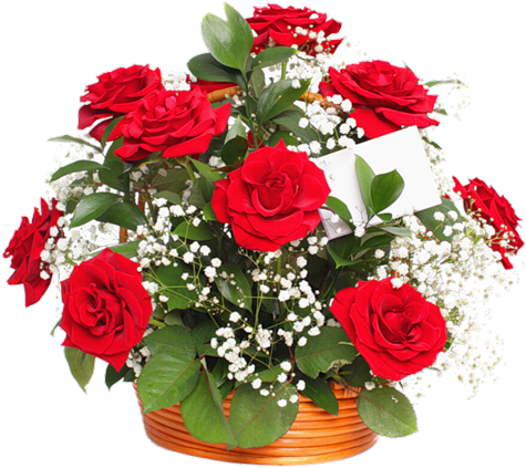 Bouquet Of Flowers Png Image - Christmas Flowers Poinsettias Decoration (500x483), Png Download