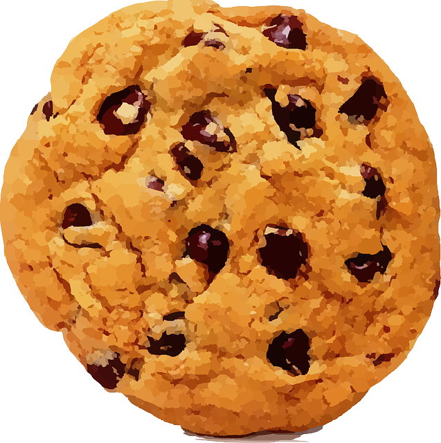 Web Literacy Competencies - Chocolate Chip Cookie Transparent (637x640), Png Download