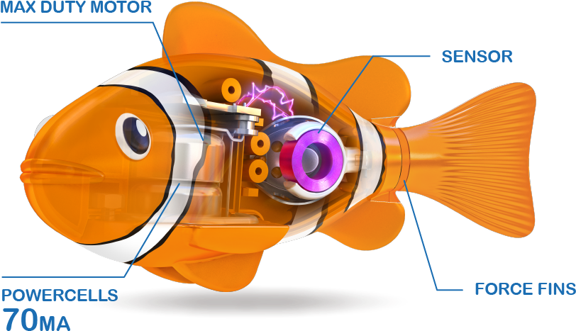 2/5 Real-life Pets - Blowfish (886x576), Png Download