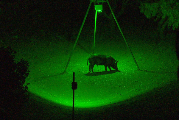 More Views - Blind Side R Feeder Light (600x600), Png Download