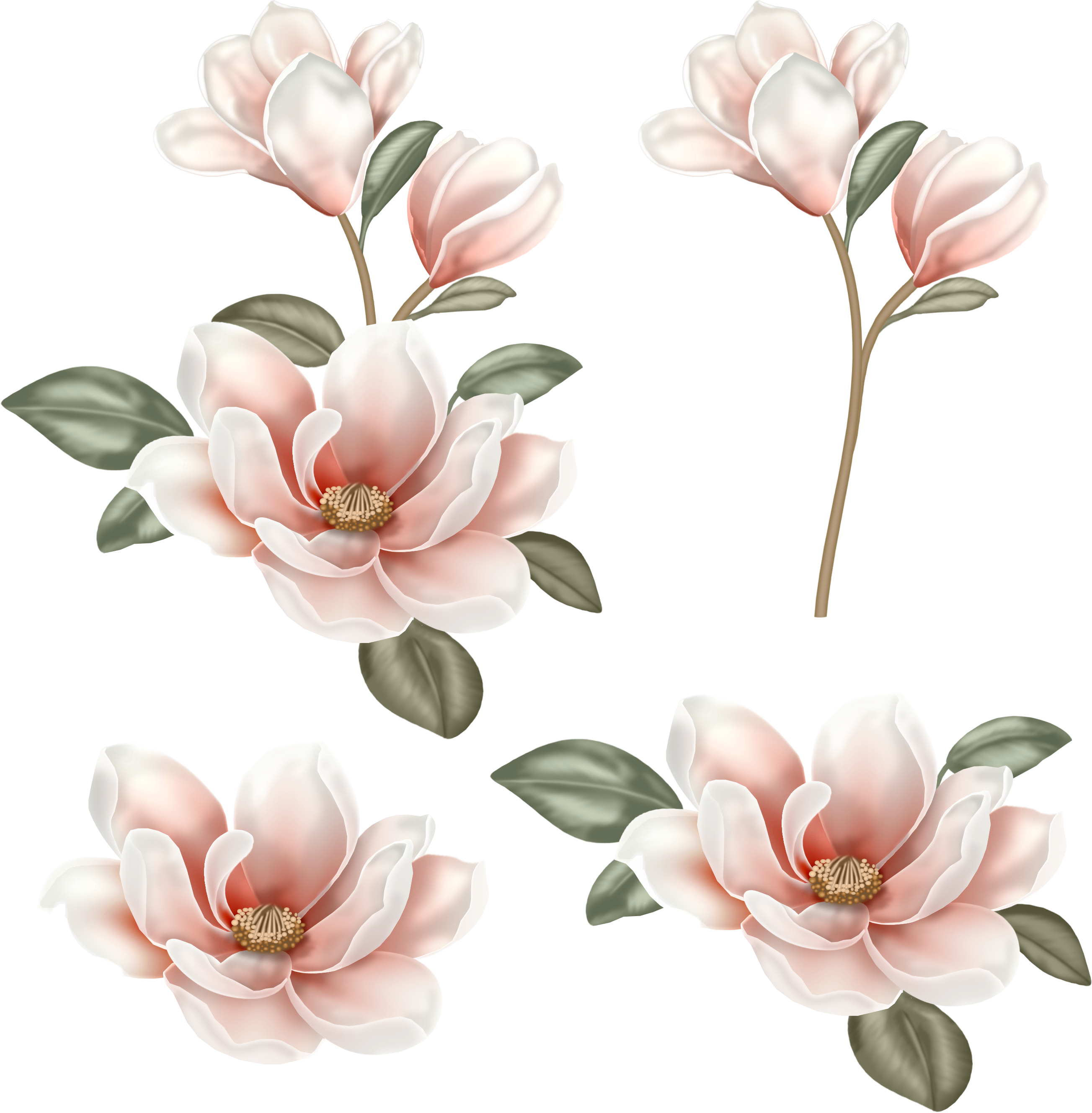 Image Freeuse Stock Flower Clip Art Chinese Transprent - Flower Painting Png (2607x2657), Png Download