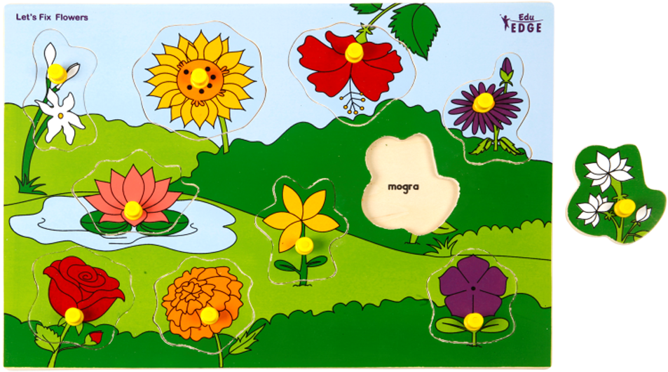 Click - Eduedge Let's Fix Flowers - 10 Knobbed (997x709), Png Download