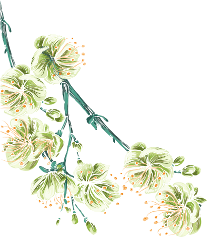 手绘茉莉花 - Flowers And Butterflies Png Download (790x572), Png Download