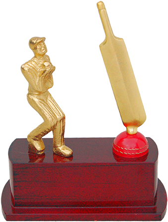 Mt 3488 Cricket Trophy - Cricket Transparent Trophies (347x455), Png Download