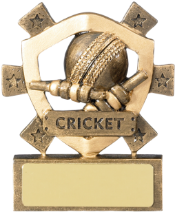 Cricket Mini Shield Trophy - Table Tennis Awards (464x348), Png Download