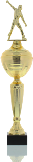 Cricket Thrower 43,0cm - Trophy (900x600), Png Download