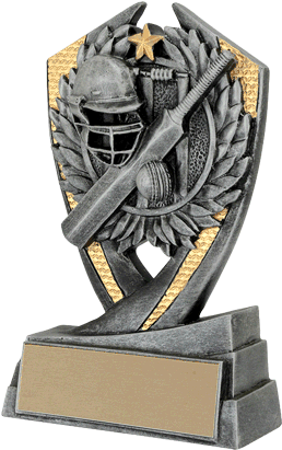Phoenix Cricket Resin Trophy - Award (295x448), Png Download