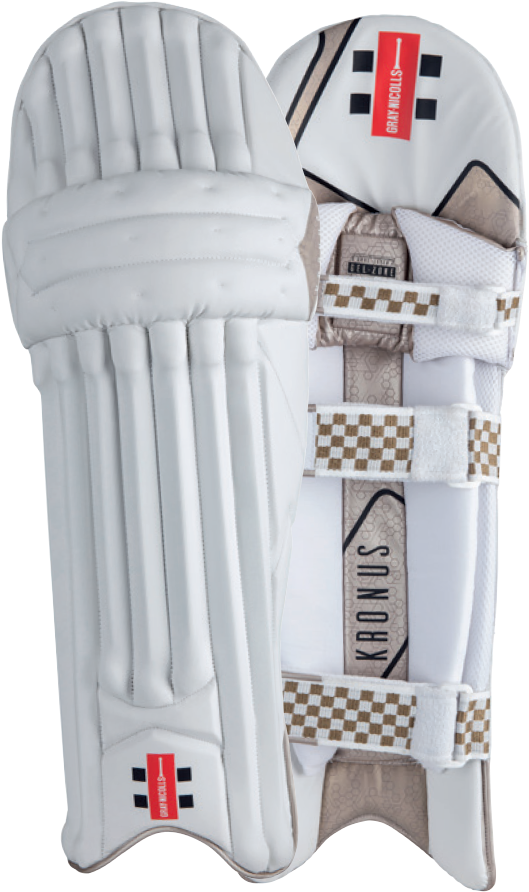 Plain Cricket Bat Png (565x1024), Png Download