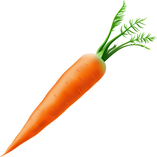 Shutterstock 100447426 [преобразованный] - Carota Png (500x500), Png Download