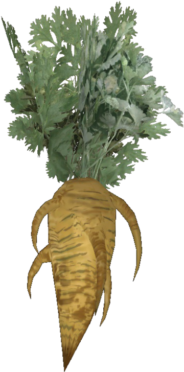 Fresh Carrot - Fallout 4 Carrot (1200x904), Png Download