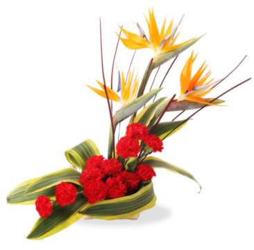 Flower Paradise - Birthday Flowers Transparent Flower Bouquet Png (480x360), Png Download