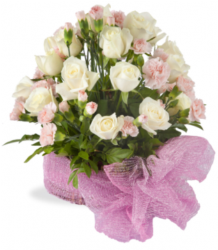 Romantic Pink - Moscow (480x360), Png Download