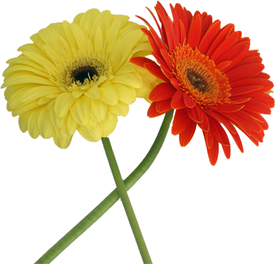 Namaste Welcome Png Welcome Hands Png Images - Portable Network Graphics (400x384), Png Download