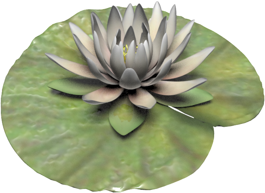 Hand Painted White Lotus Png Transparent - Sacred Lotus (1024x1024), Png Download